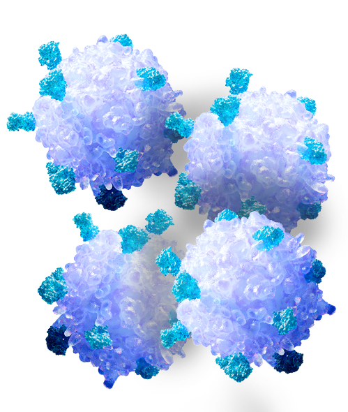 T-Cell EBV