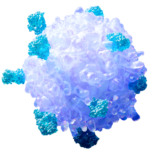 T-Cell receptors