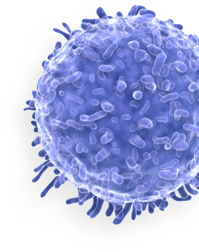 Our Proprietary T-Cell Immunotherapy Technology Platform