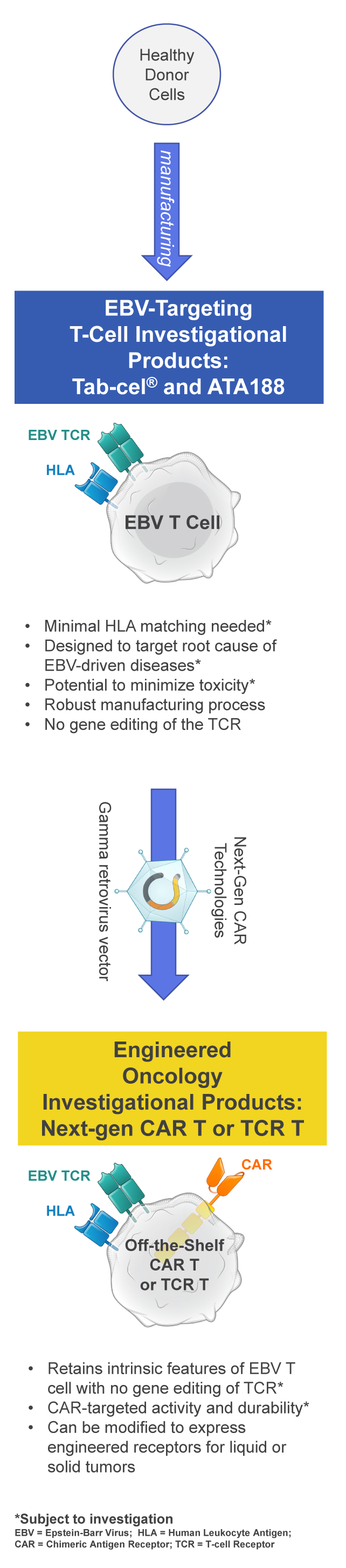 Atara: A Differentiated Approach to Allogeneic Cell Therapy, with No Gene Editing of the T-Cell Receptor